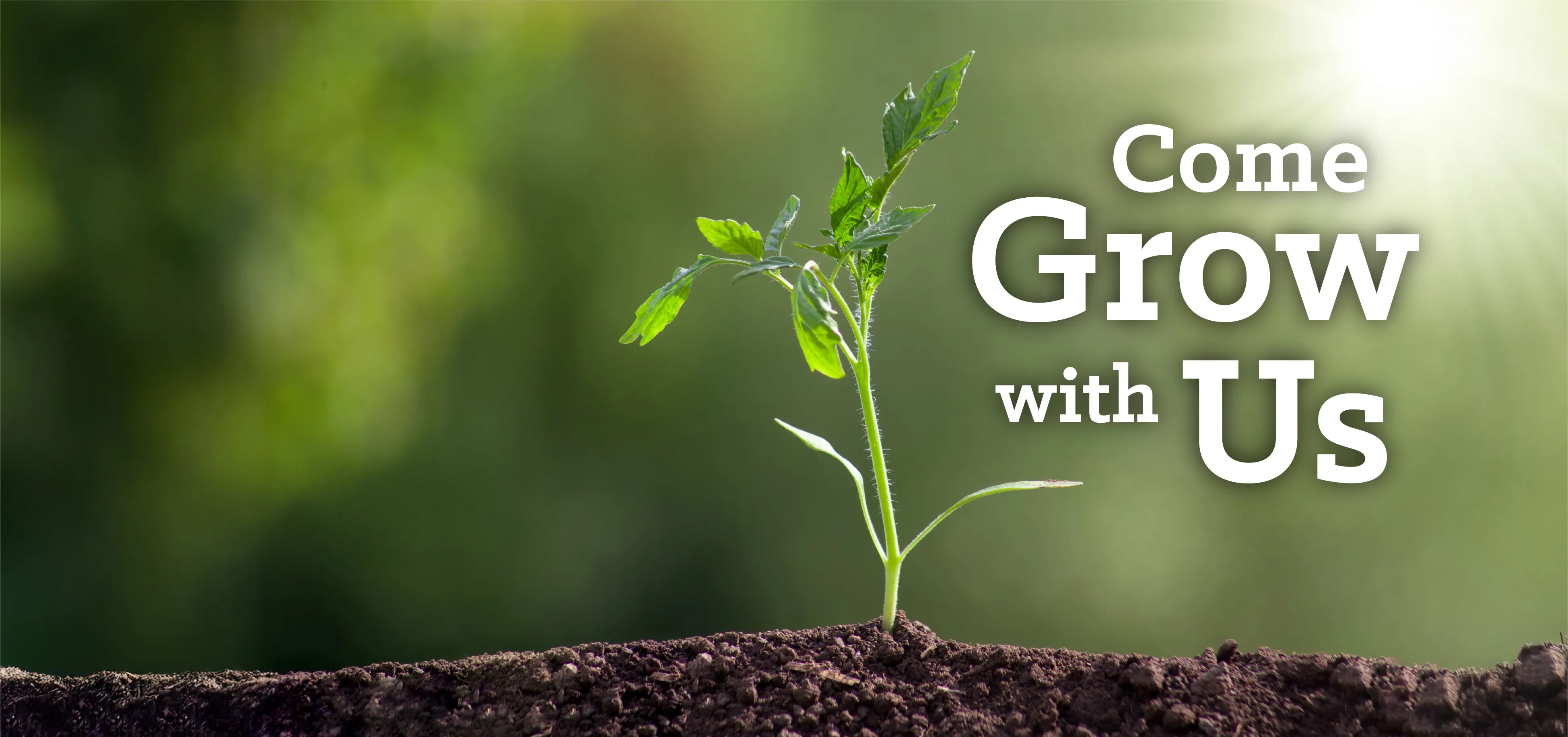 grow with us