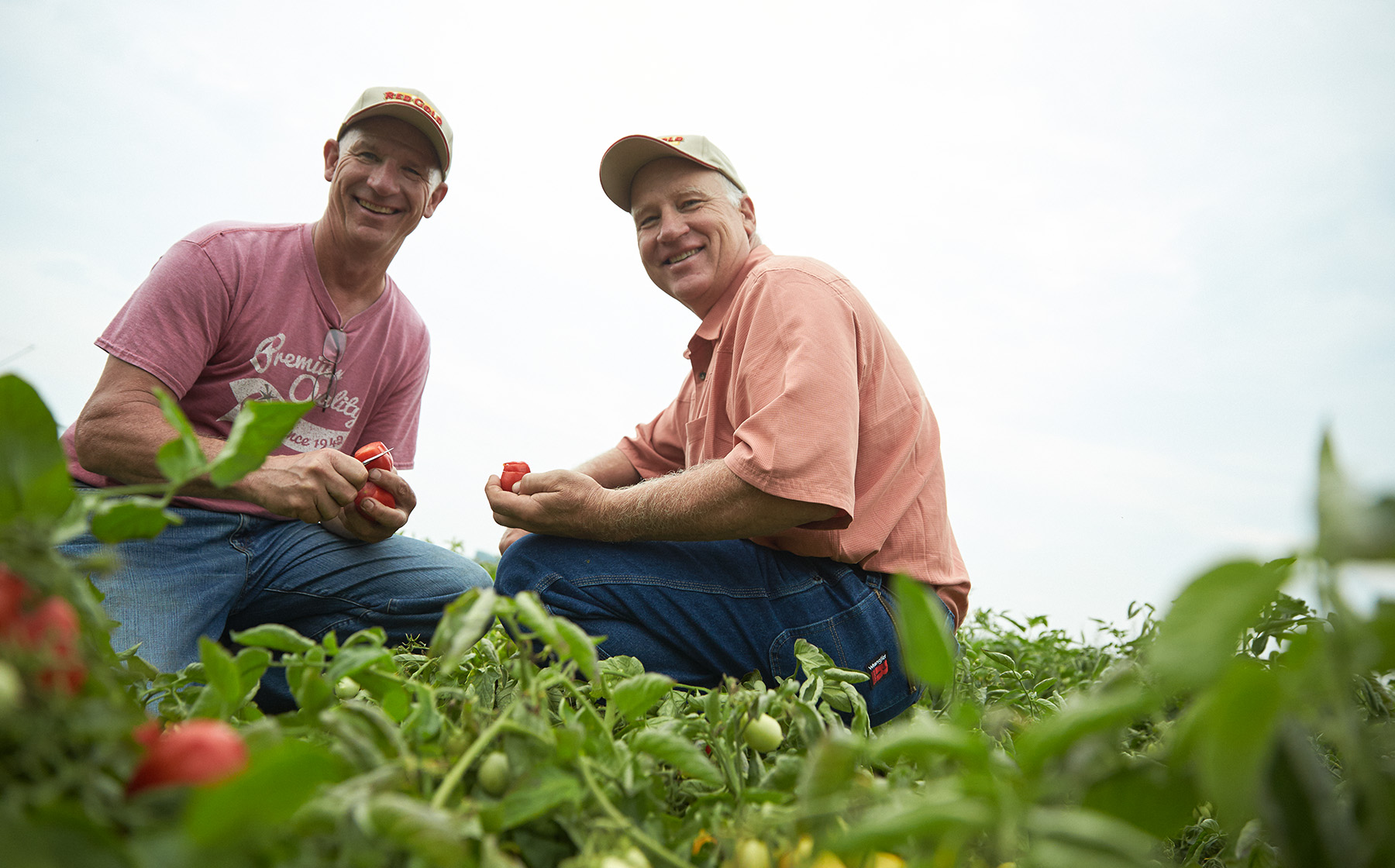 Image of the AcMoody Farms family growers for Red Gold Tomatoes brothers
