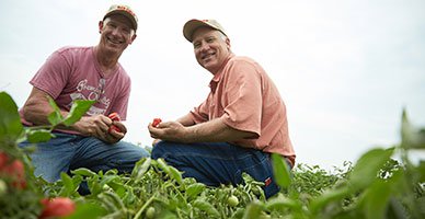 Image of Red Gold tomato Growers Vern and Brian AcMoody from Union City Michigan
