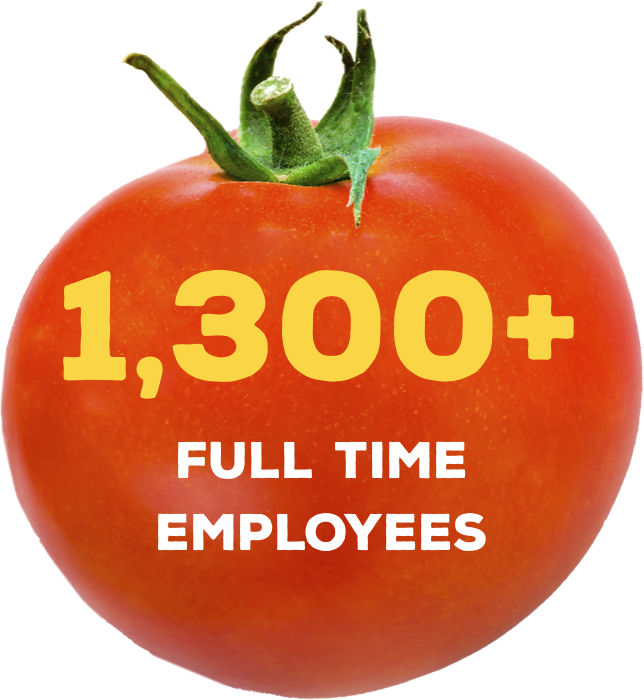 tomato 1