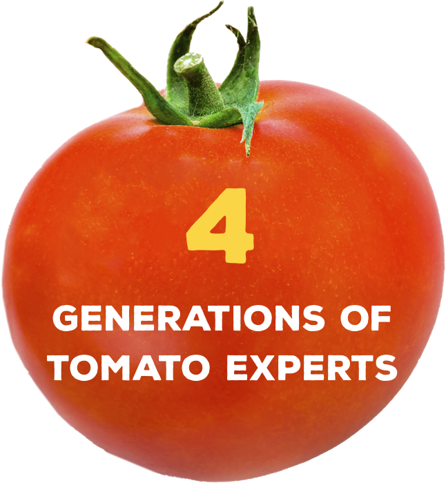tomato 3