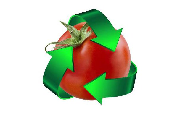 Image of Tomato with recycle arrows