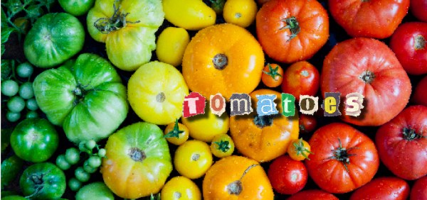 Exploring Tomato Varieties: Differences & Best Uses