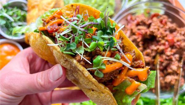 Chipotle Beef Tacos with Homemade Hard-Shell Tortillas