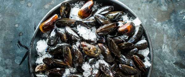Pan-Seared Mussels with Tomatoes, Chilies and Mint by Chef Andrea Reusing