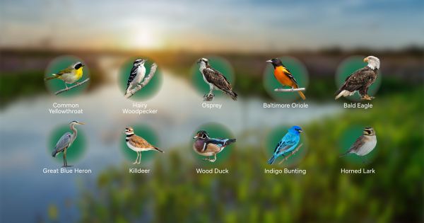 A Living Commitment to Sustainability at Red Gold Geneva